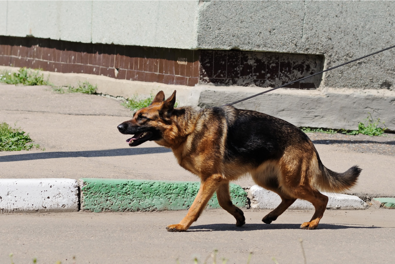 DSC_0094.jpg