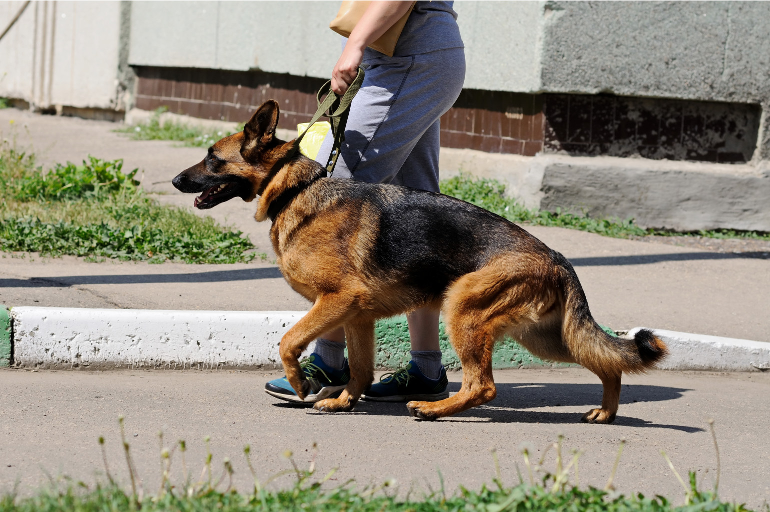 DSC_0097.jpg