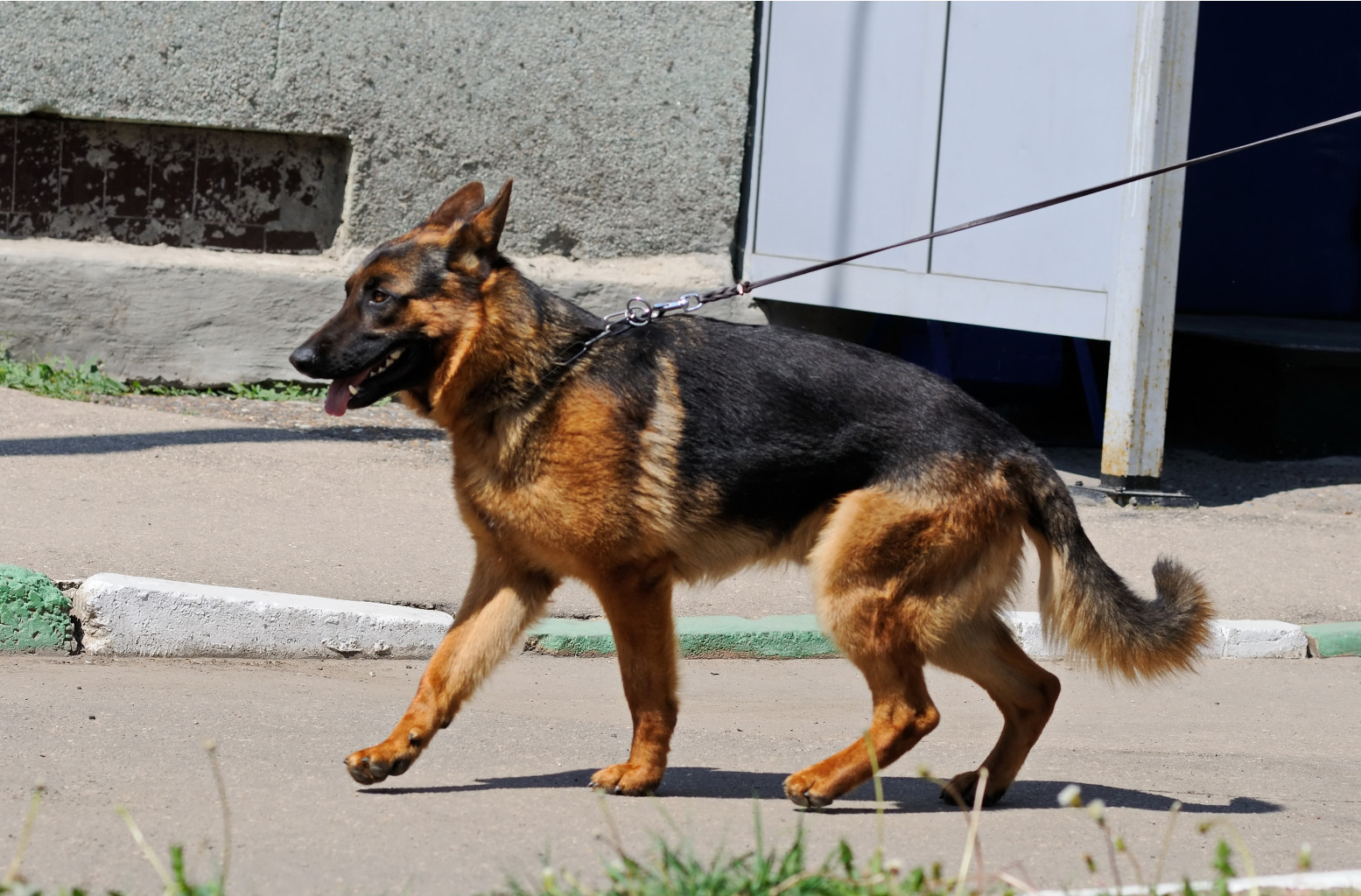 DSC_0104.jpg