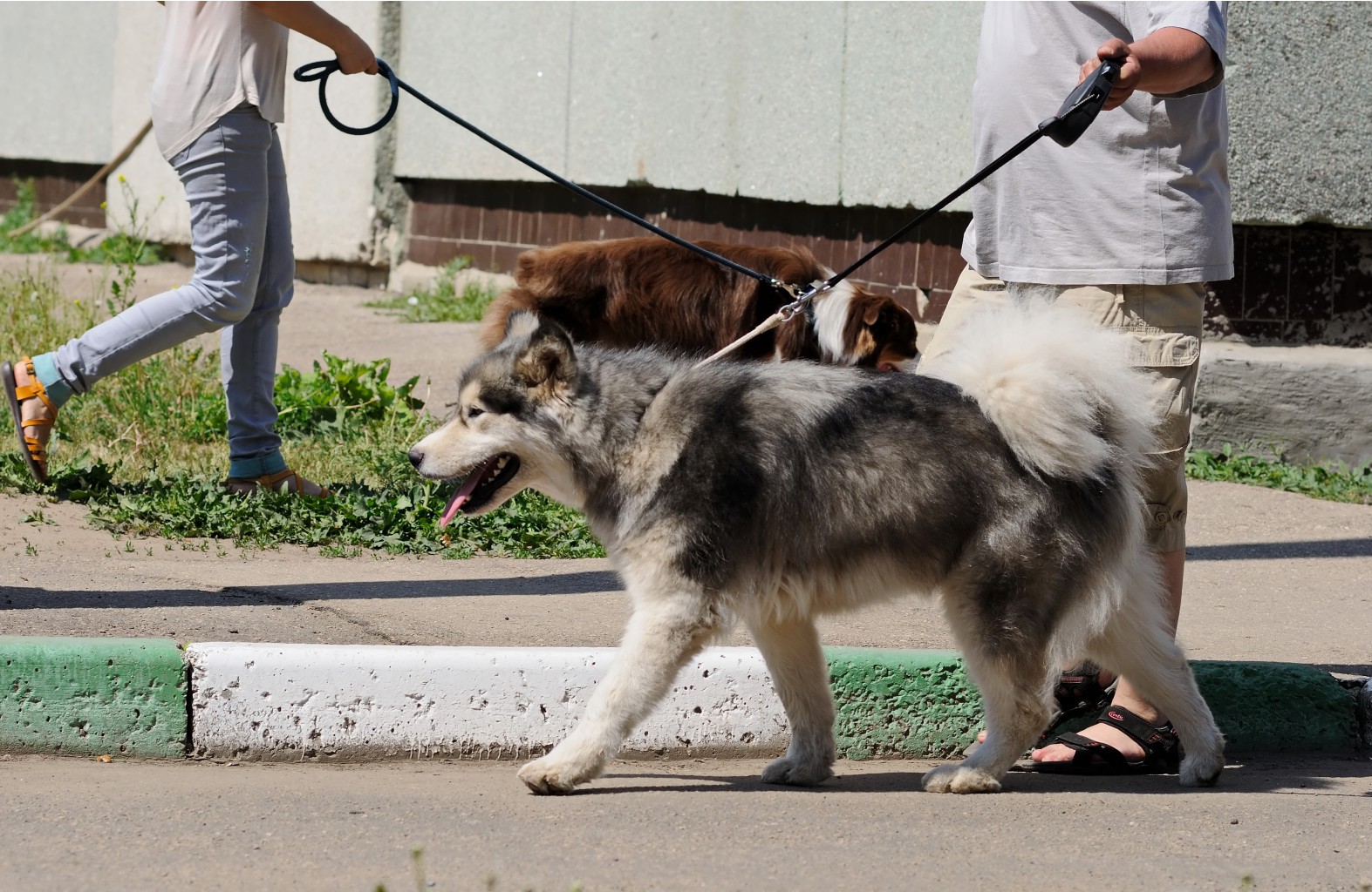 DSC_0106.jpg