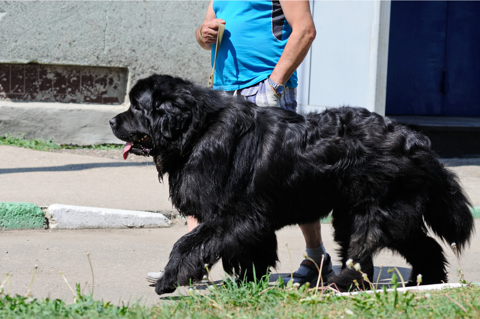 DSC_0123.jpg