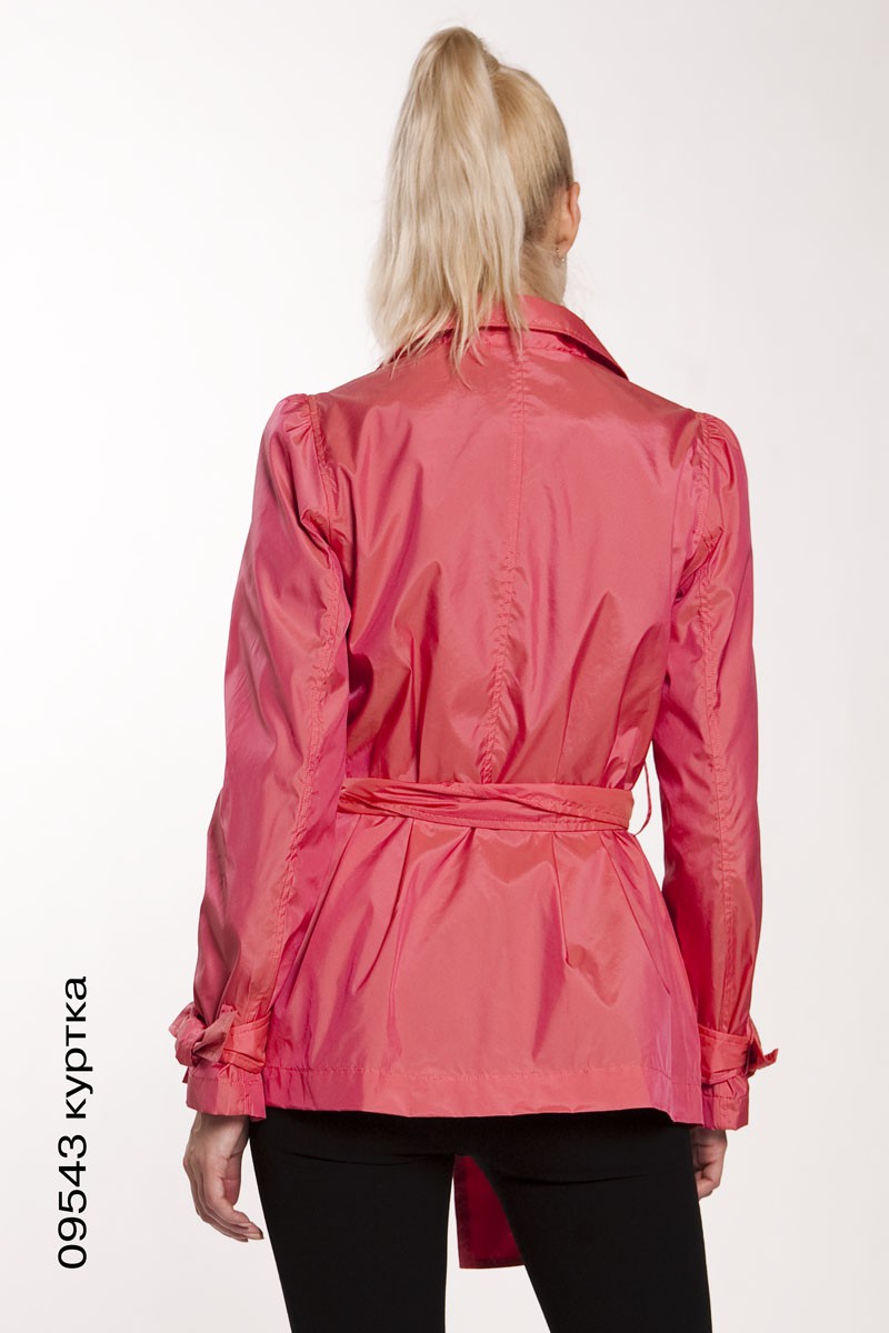 09543_back.jpg