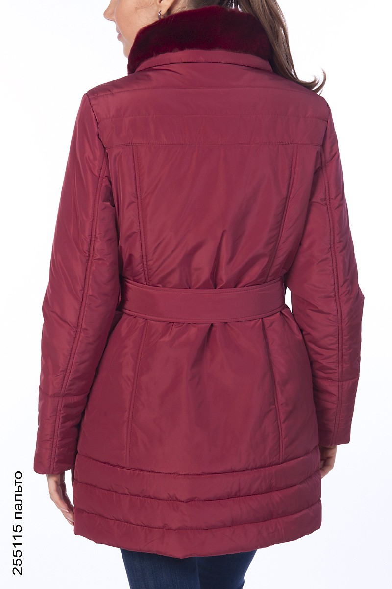 255115_back.jpg