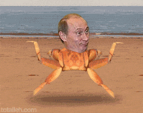 24215169-putin_krab2.gif