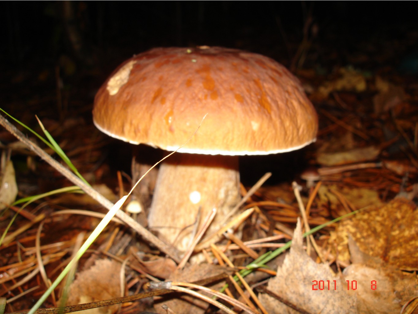 DSC07590.JPG