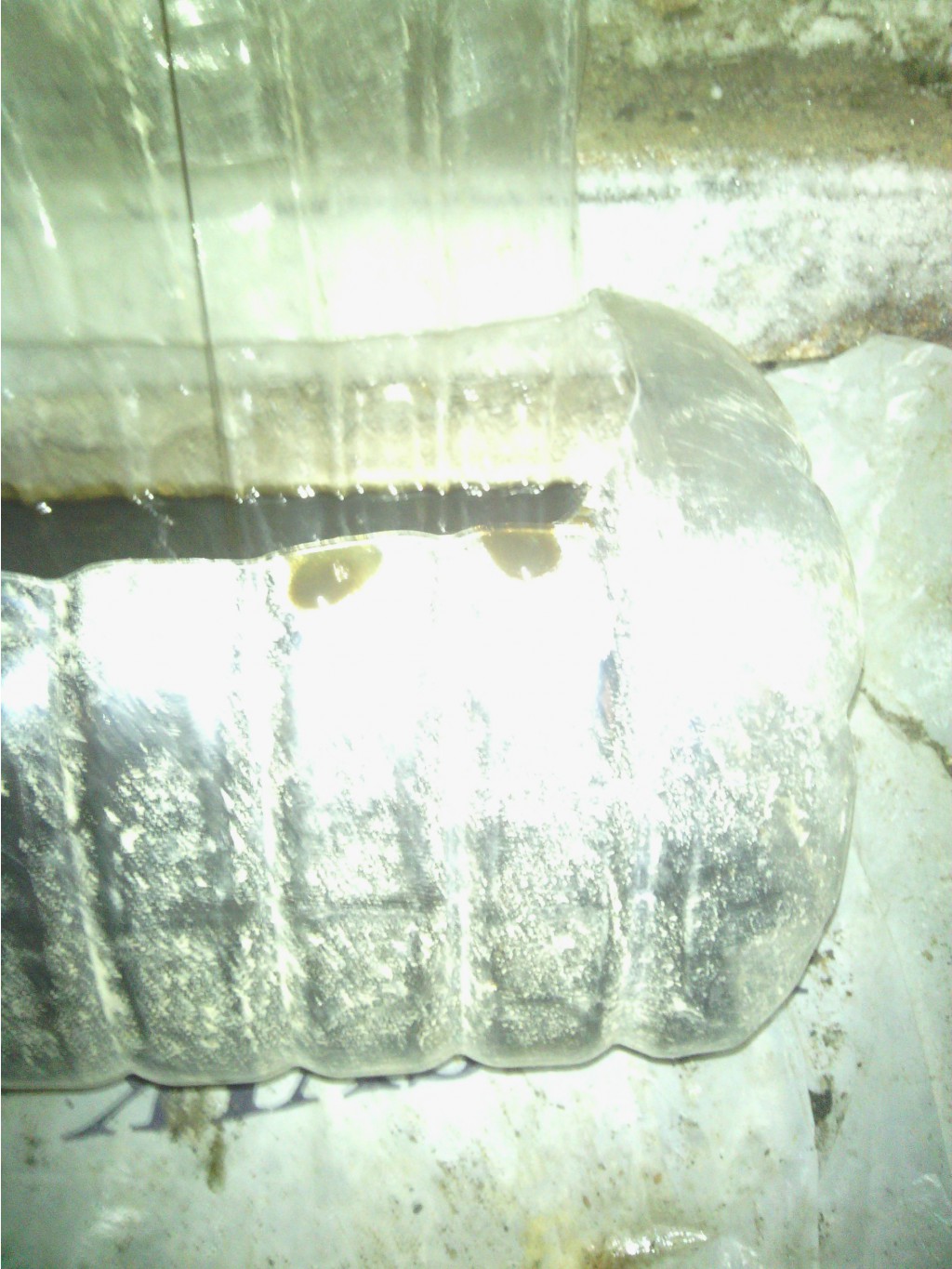 IMG_20130110_204011_0.jpg