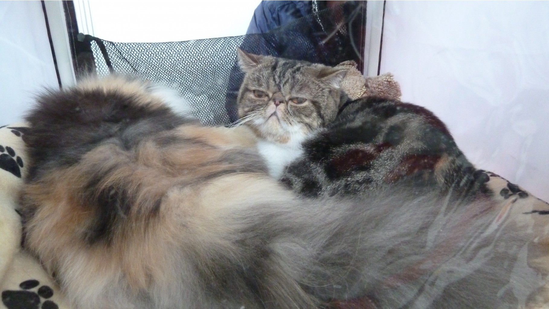 P1090252.JPG