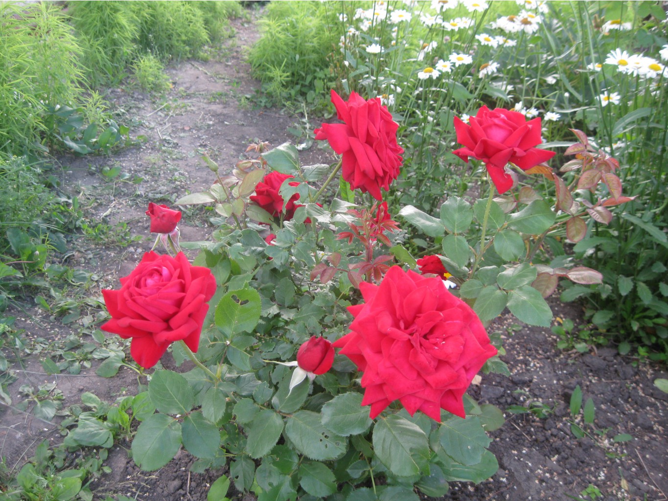 IMG_1408.JPG