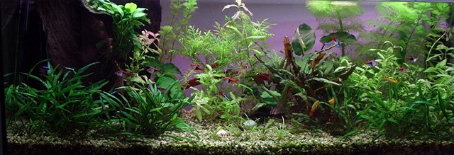 06.01.2008 0:38:53