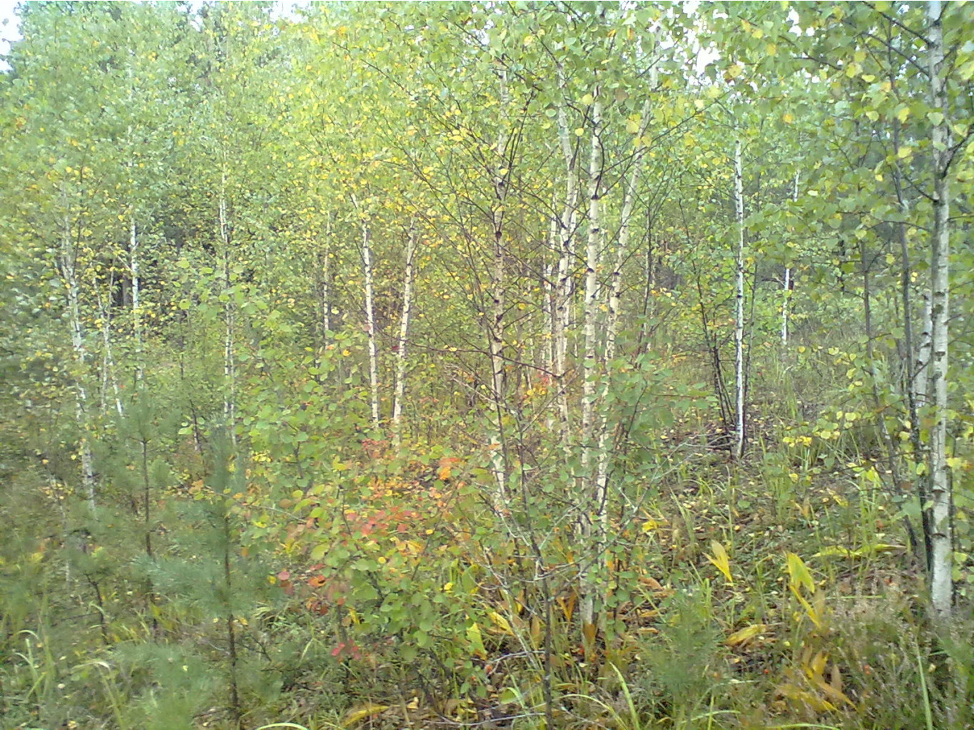 300820126719.jpg