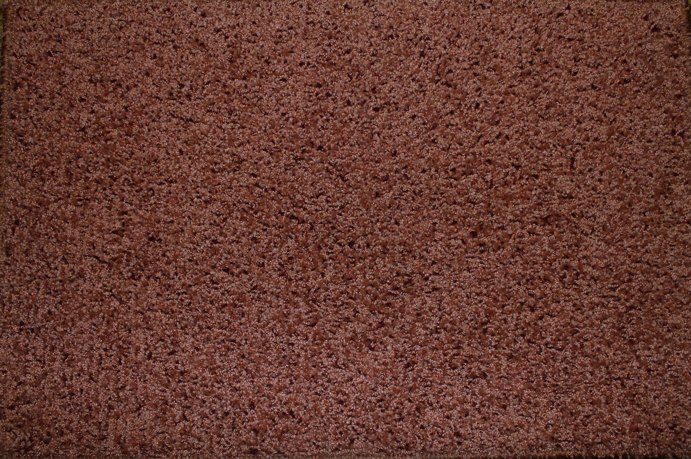   6502.JPG