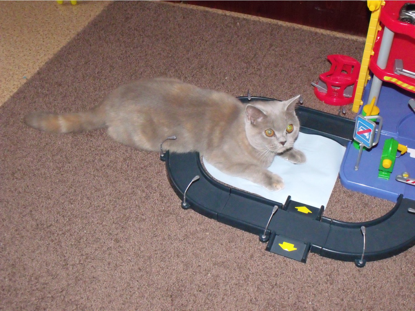 DSCF6359.JPG