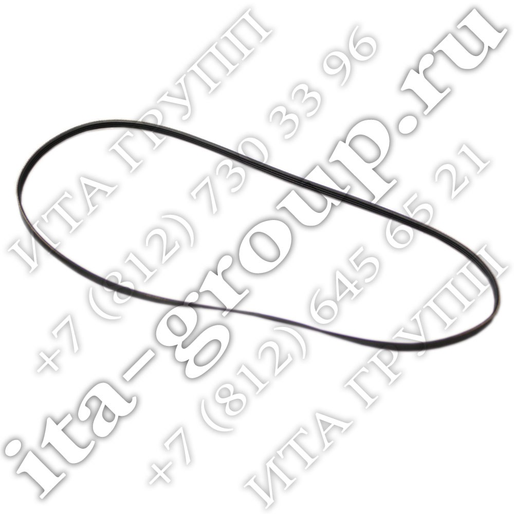blackbelt-1.jpg