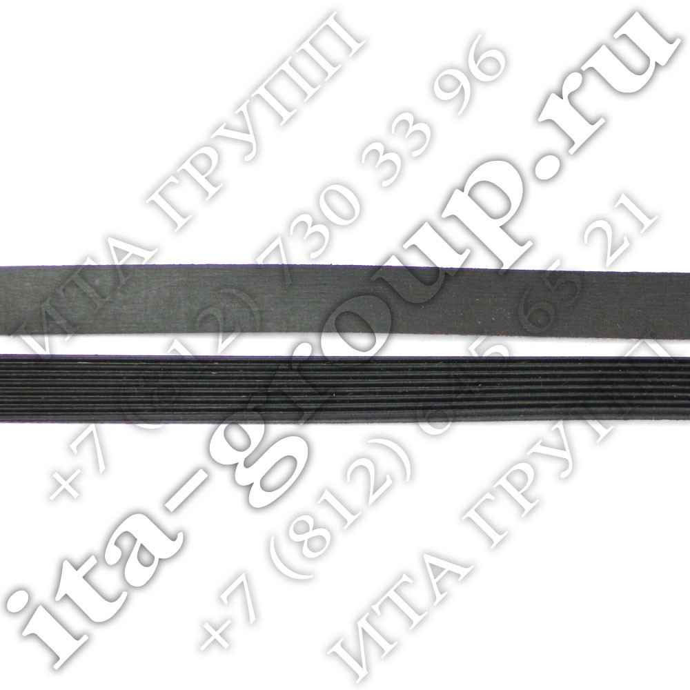 blackbelt-2.jpg