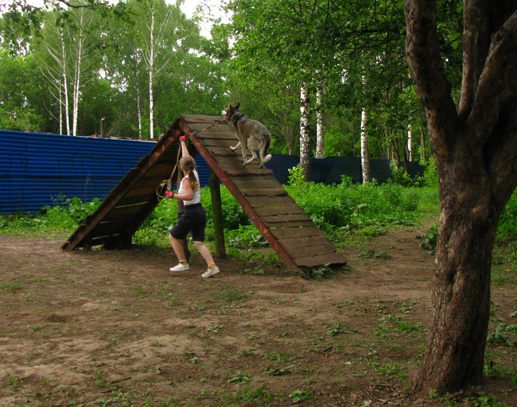 02.06.2010 10:46:34