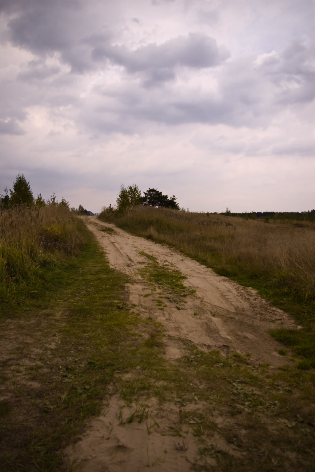 02.06.2010 11:35:45