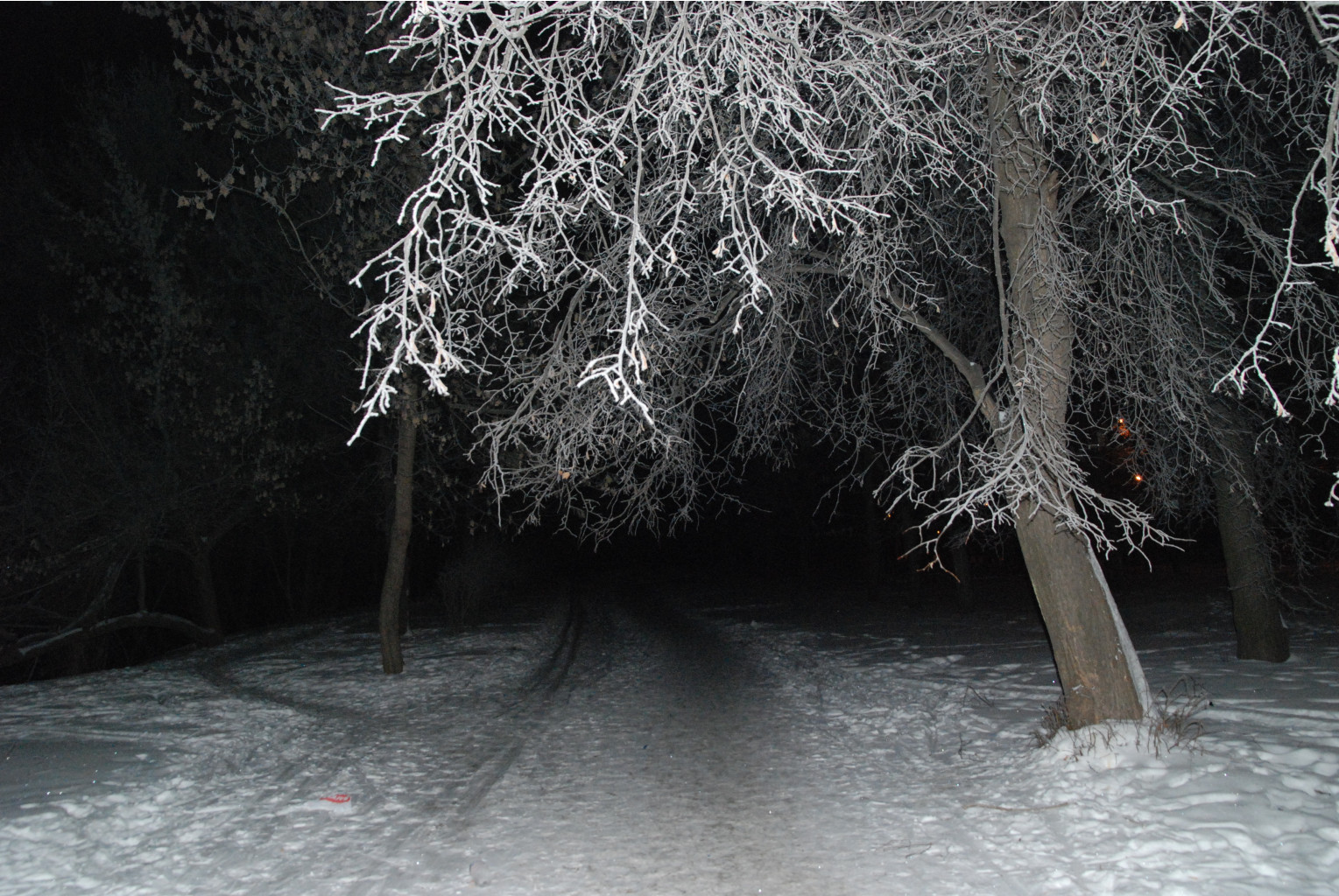 28.01.2008 20:57:46
