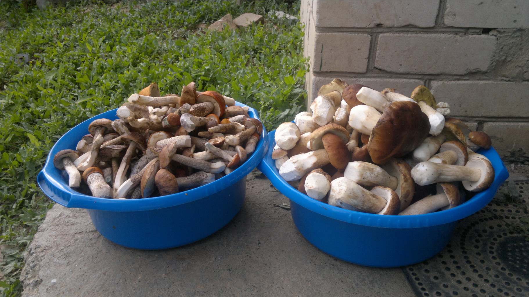 27082012851.jpg