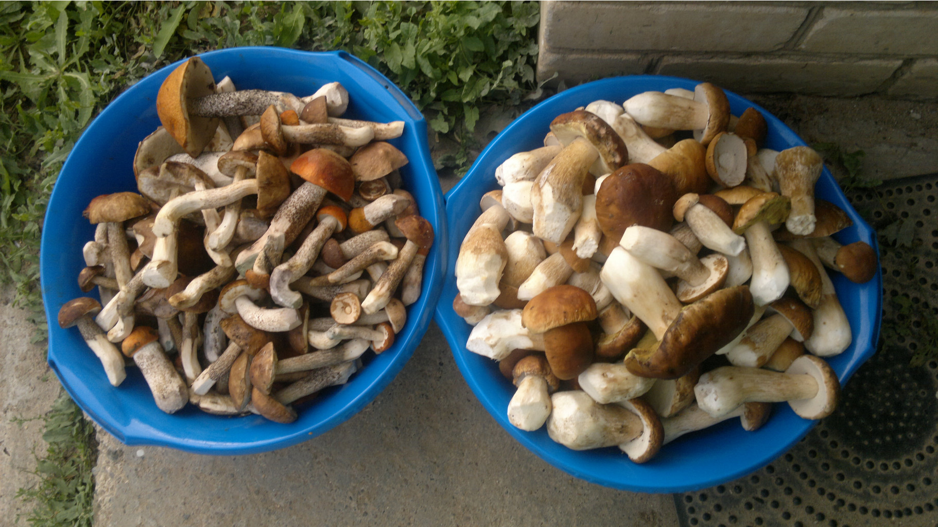 27082012852.jpg