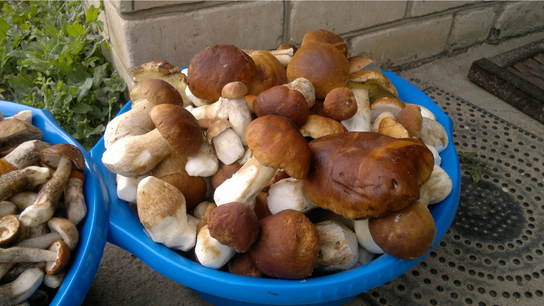 27082012856.jpg