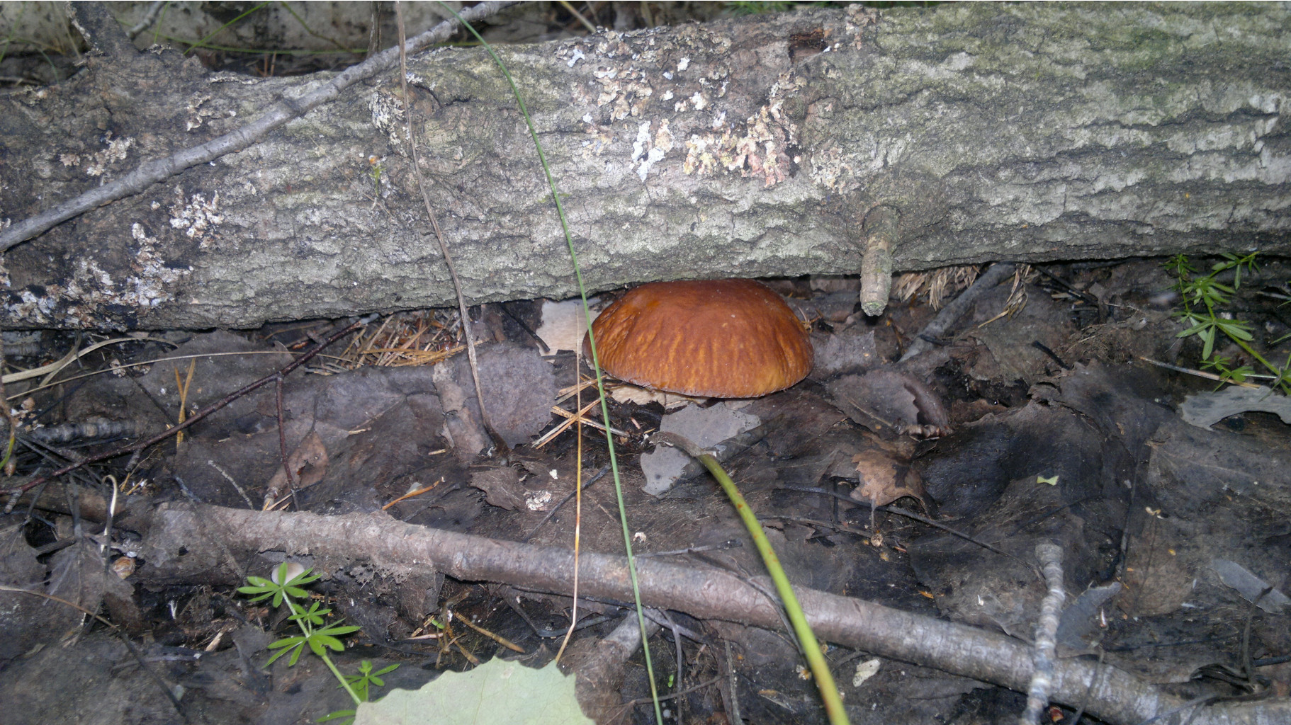 27082012846.jpg
