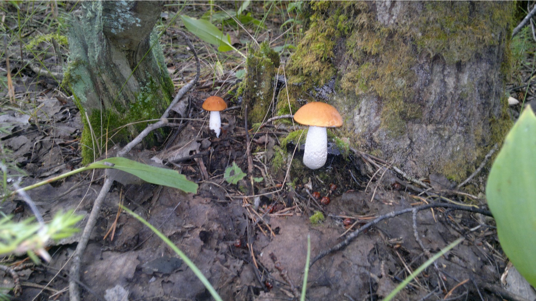 27082012847.jpg