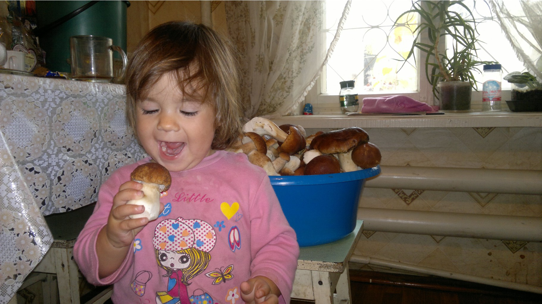 27082012857.jpg