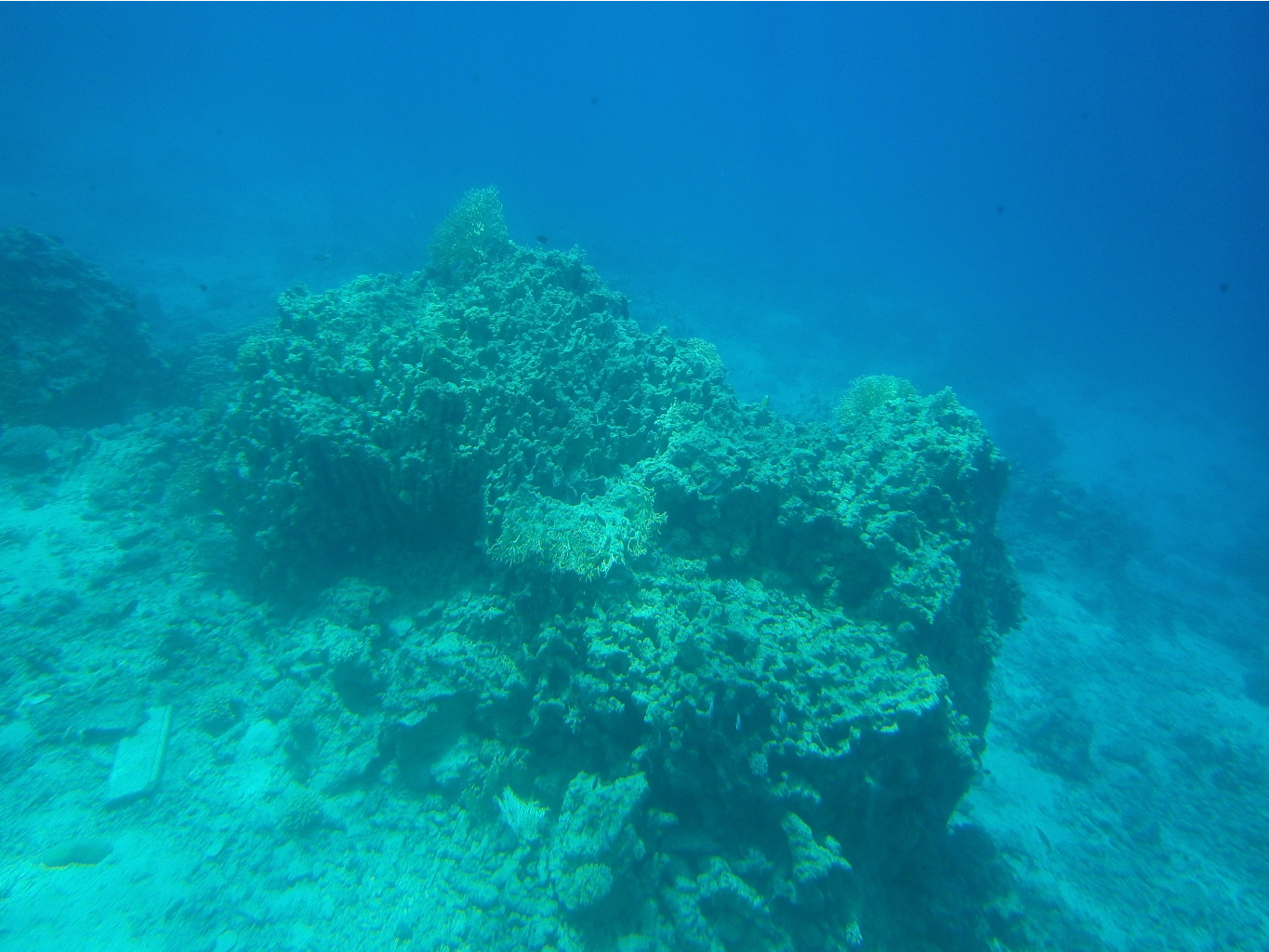 PA010157.JPG