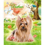 483246	Lovely pets ( ) 48., 5 