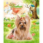 483246	Lovely pets ( ) 48., 5 