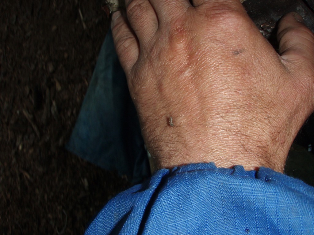 P1010025.JPG