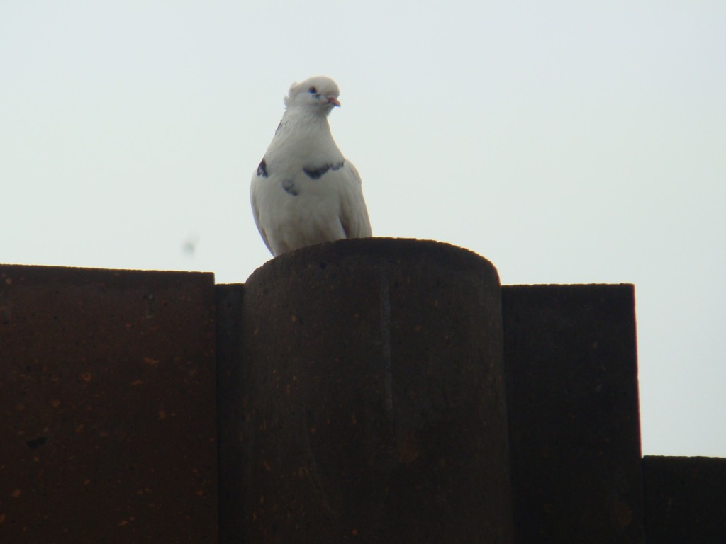   . 05.06.2010 23:02:05