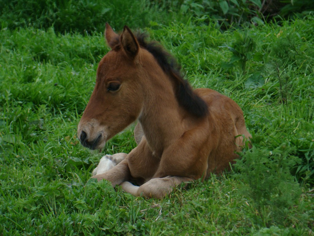   . 05.06.2010 23:05:21