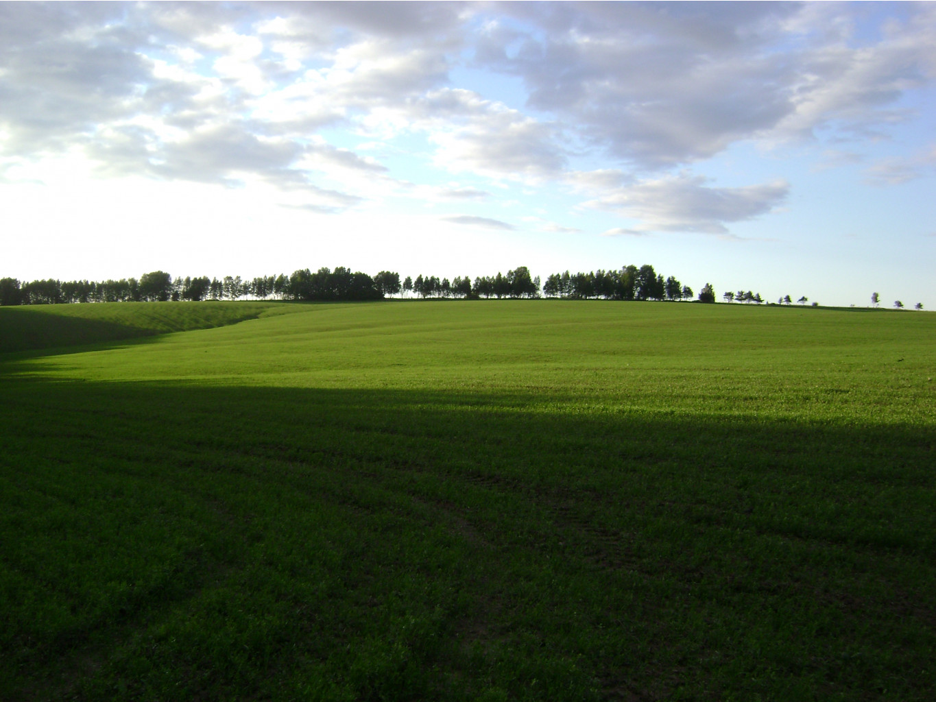 06.06.2010 2:04:16
