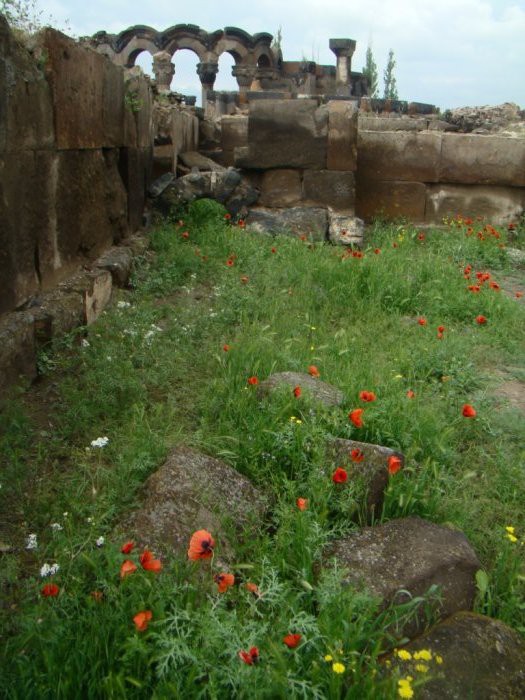   . 06.06.2010 10:10:03