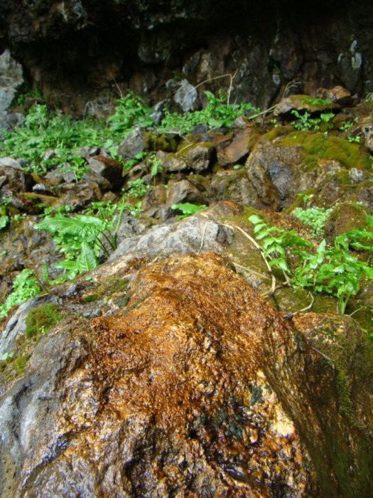   . 06.06.2010 10:13:19