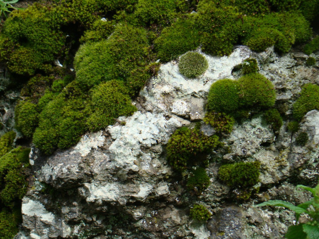   . 06.06.2010 10:25:37