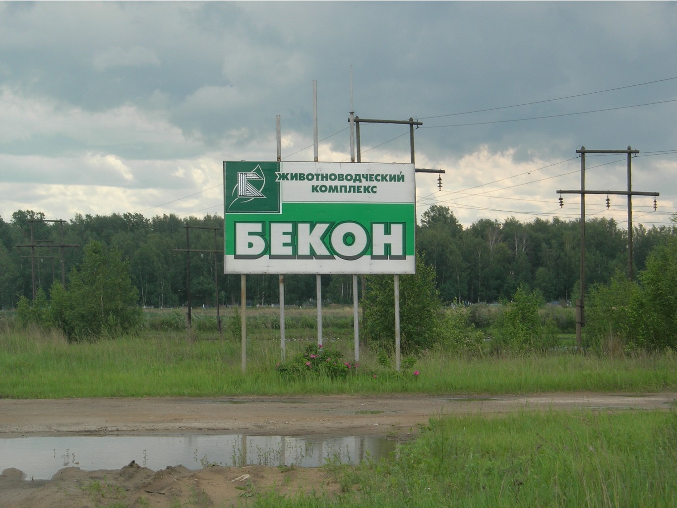 06.06.2010 15:49:19