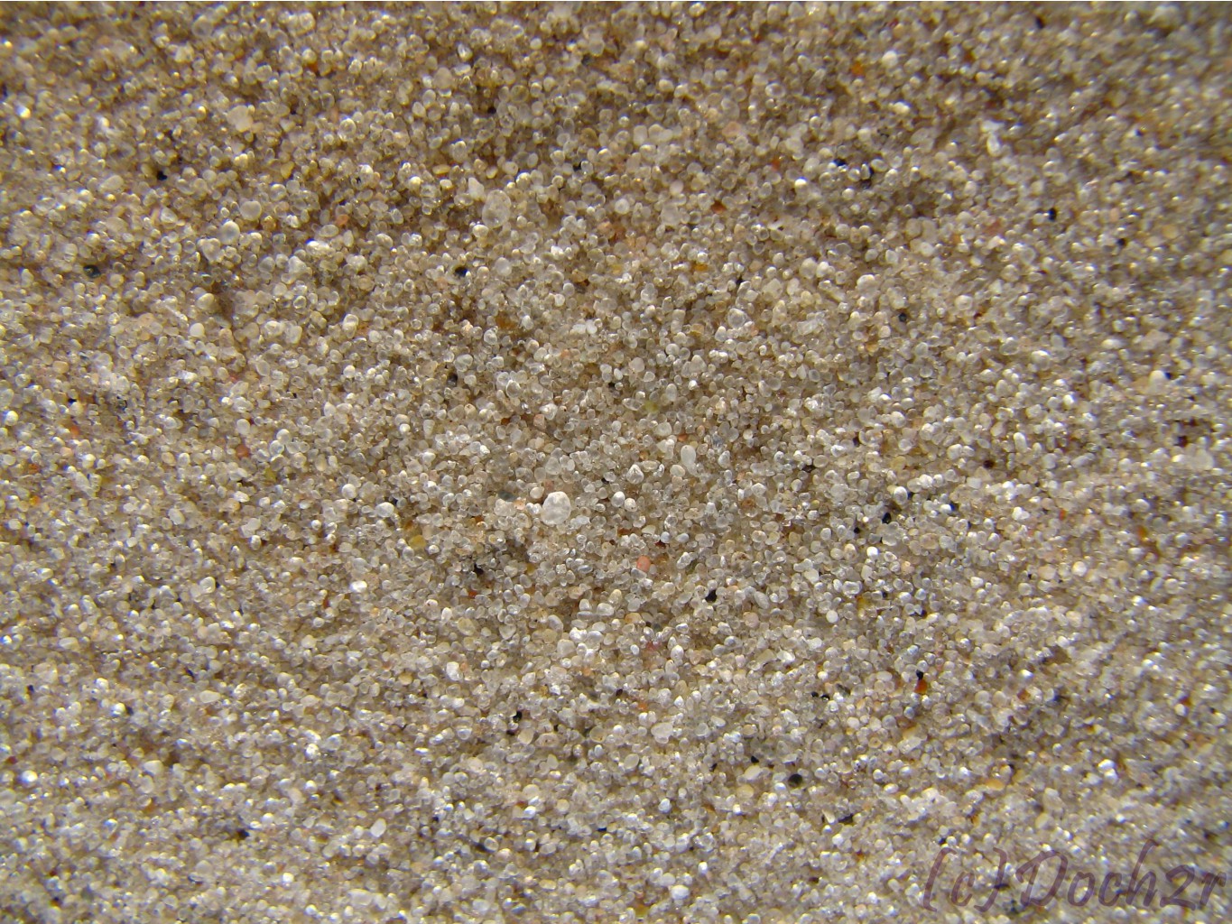 21.02.2008 13:08:51