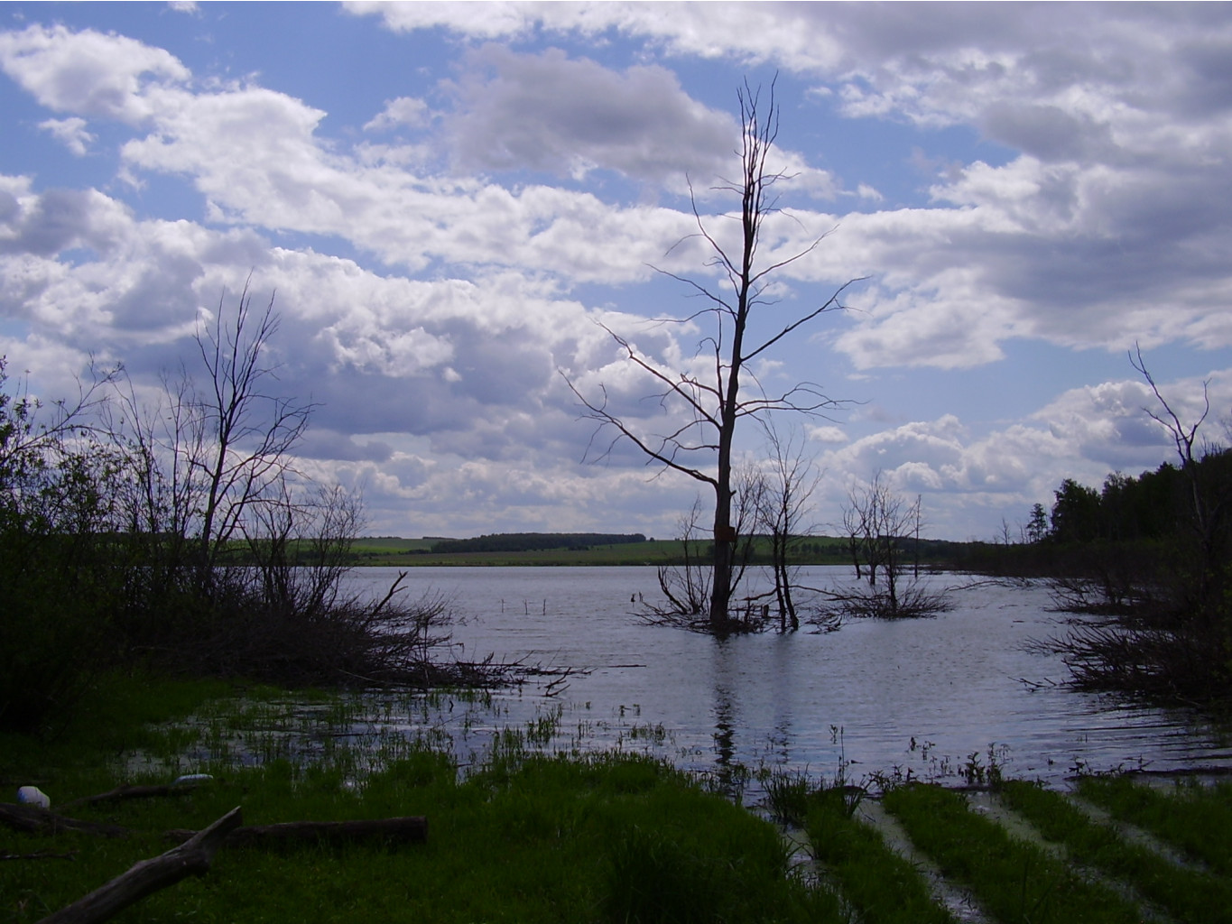 06.06.2010 22:24:56