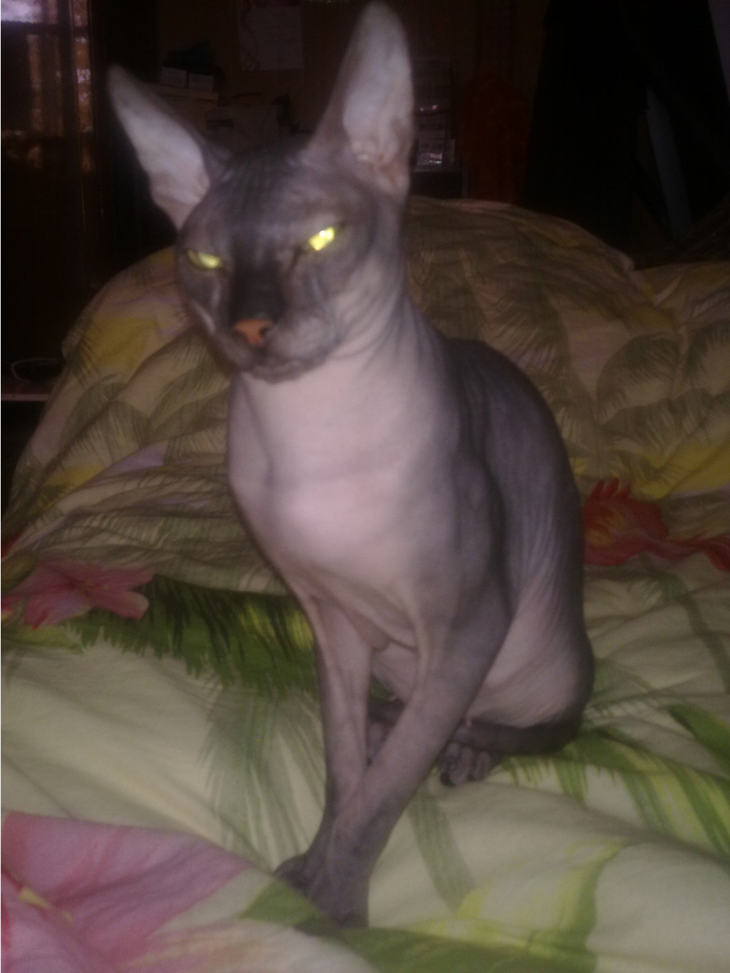 12102011566.jpg