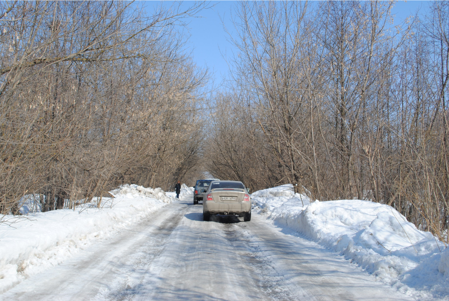 DSC_0174.jpg