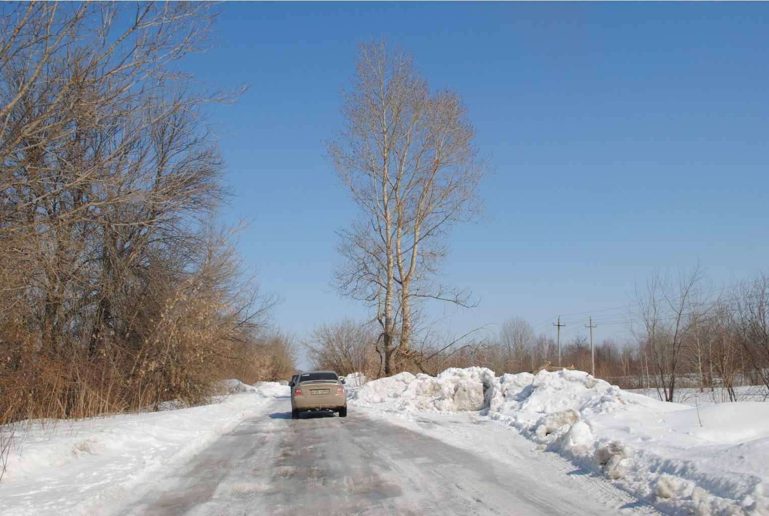 DSC_0179.jpg