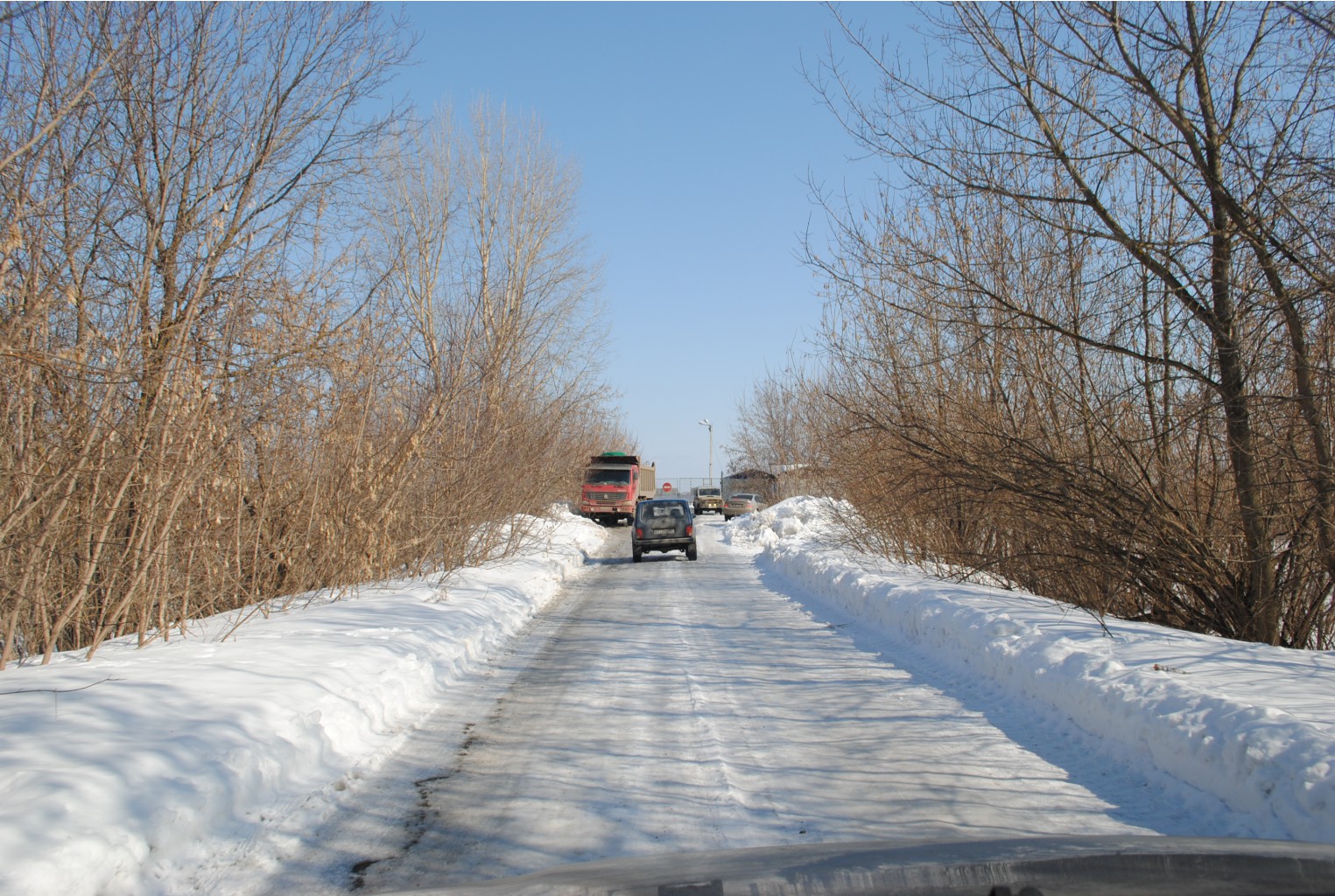 DSC_0181.jpg