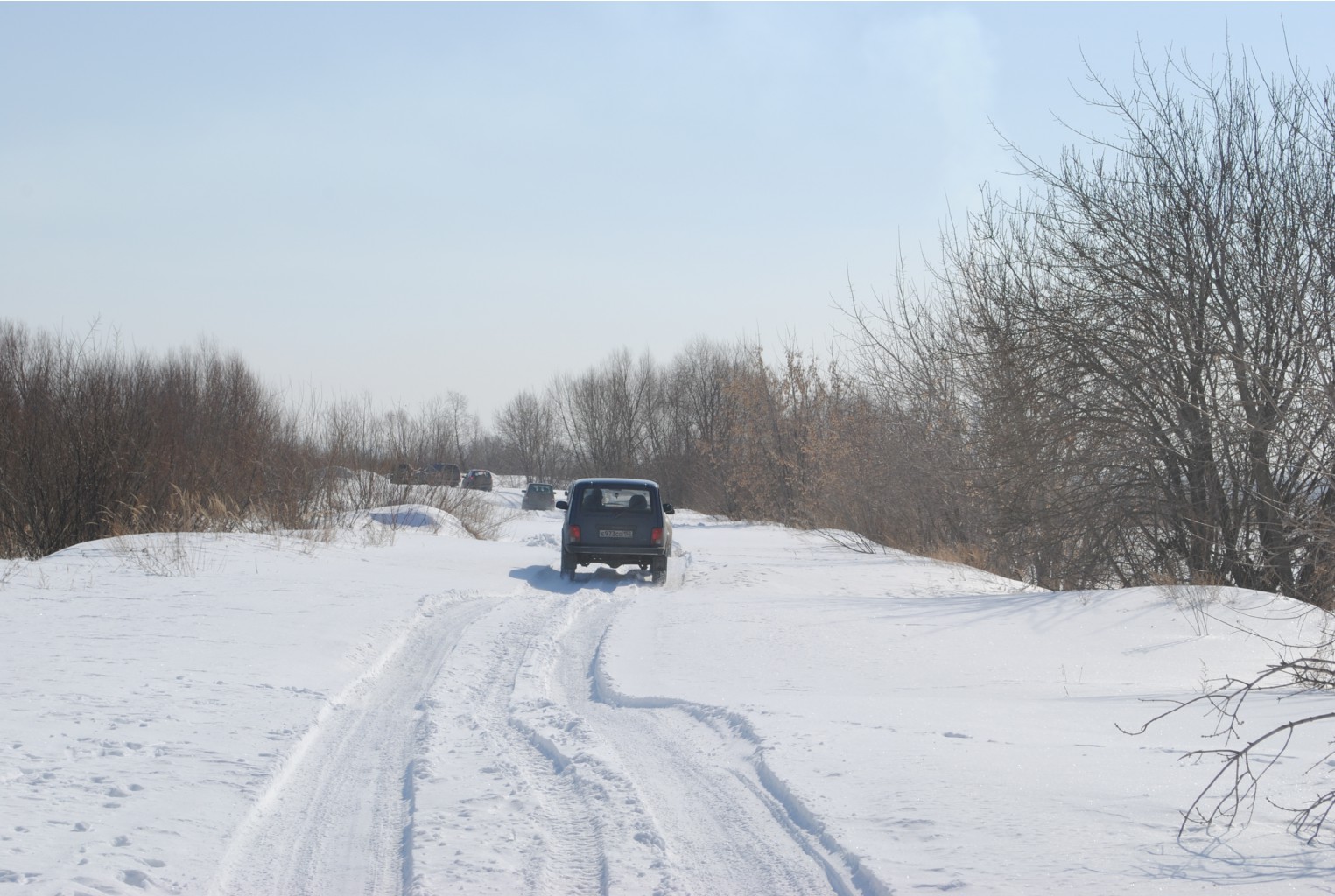 DSC_0185.jpg