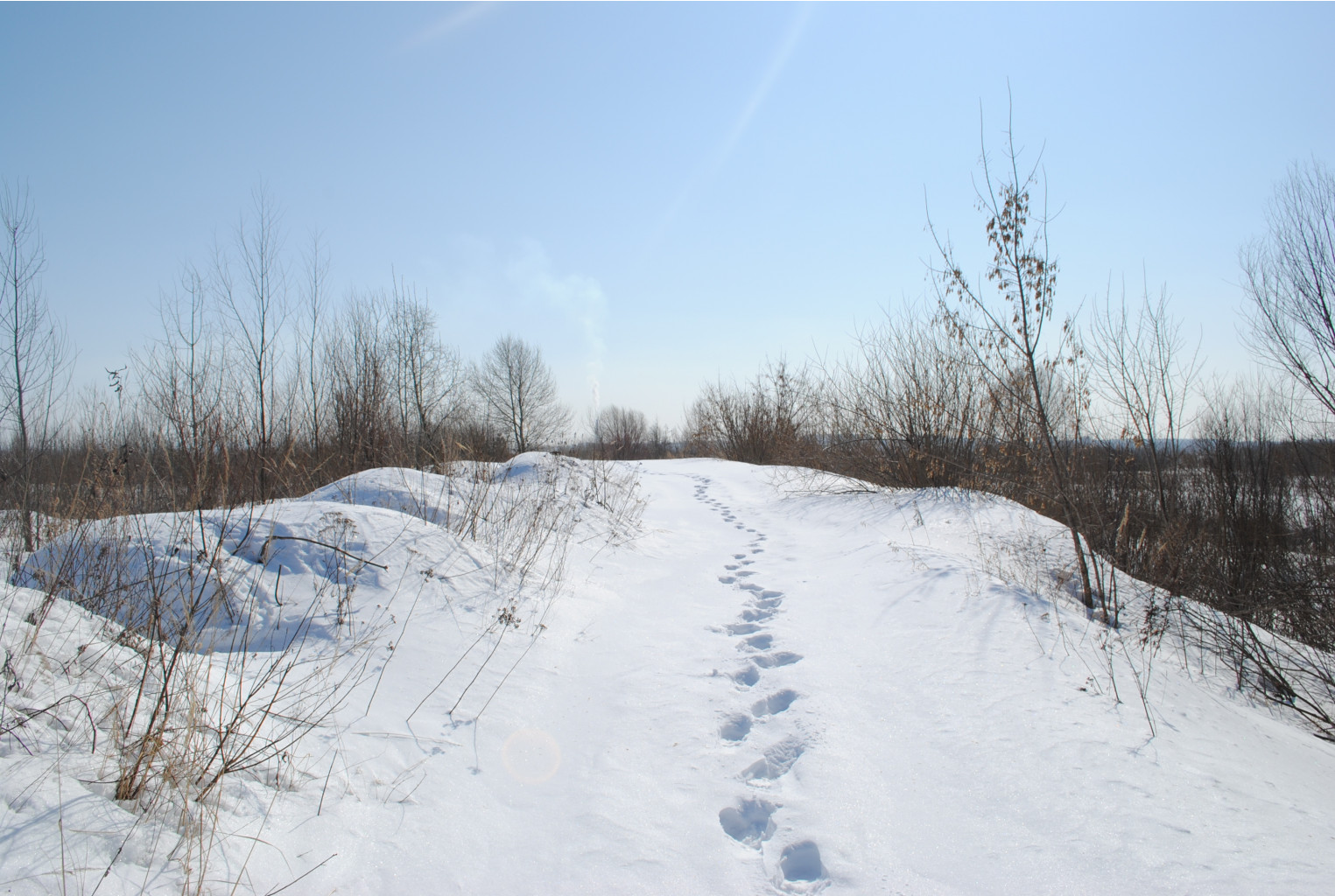 DSC_0189.jpg