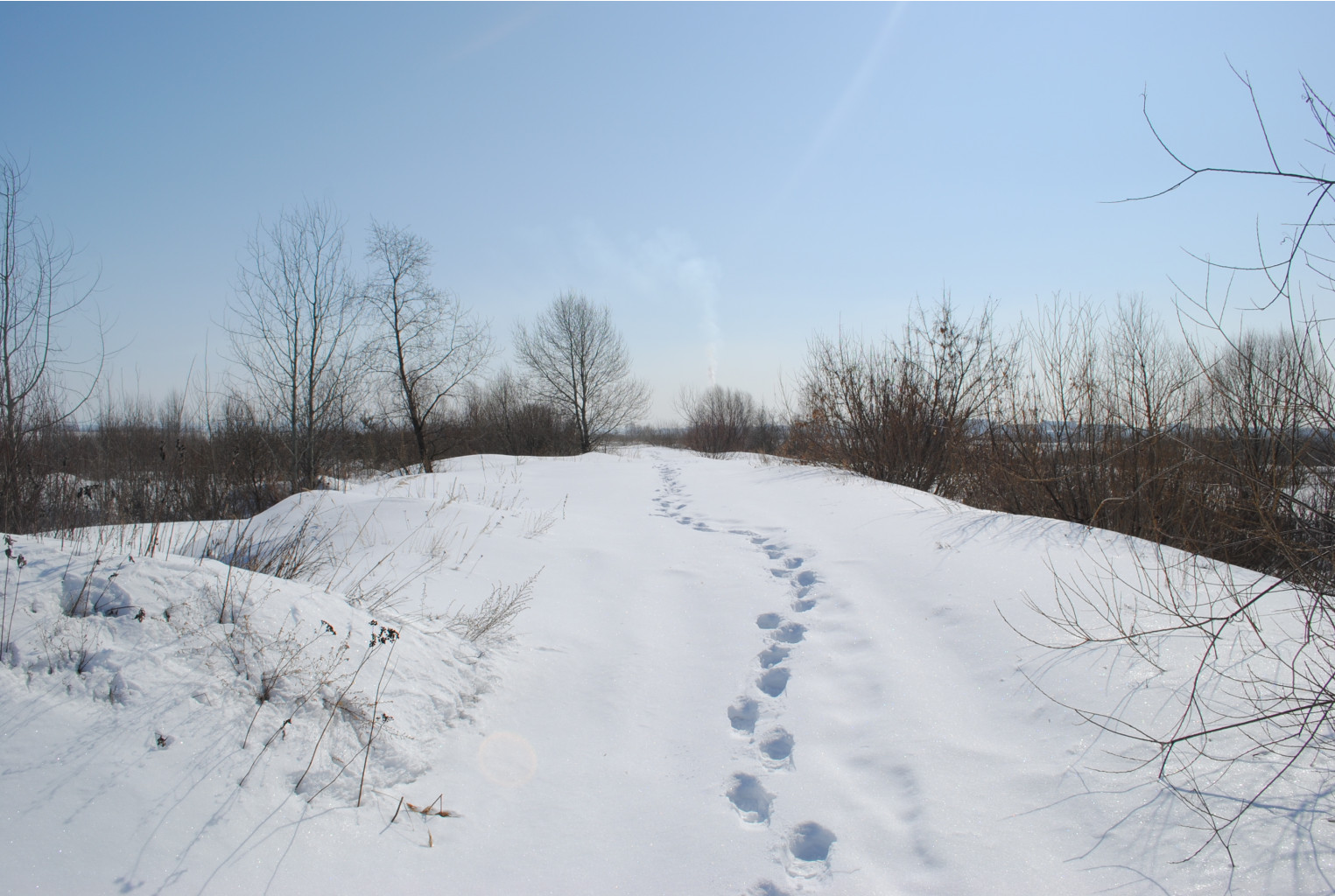 DSC_0192.jpg