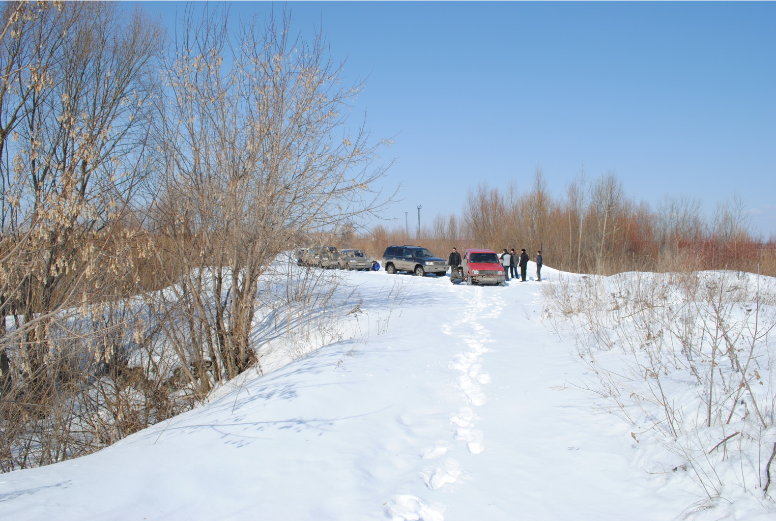 DSC_0193.jpg