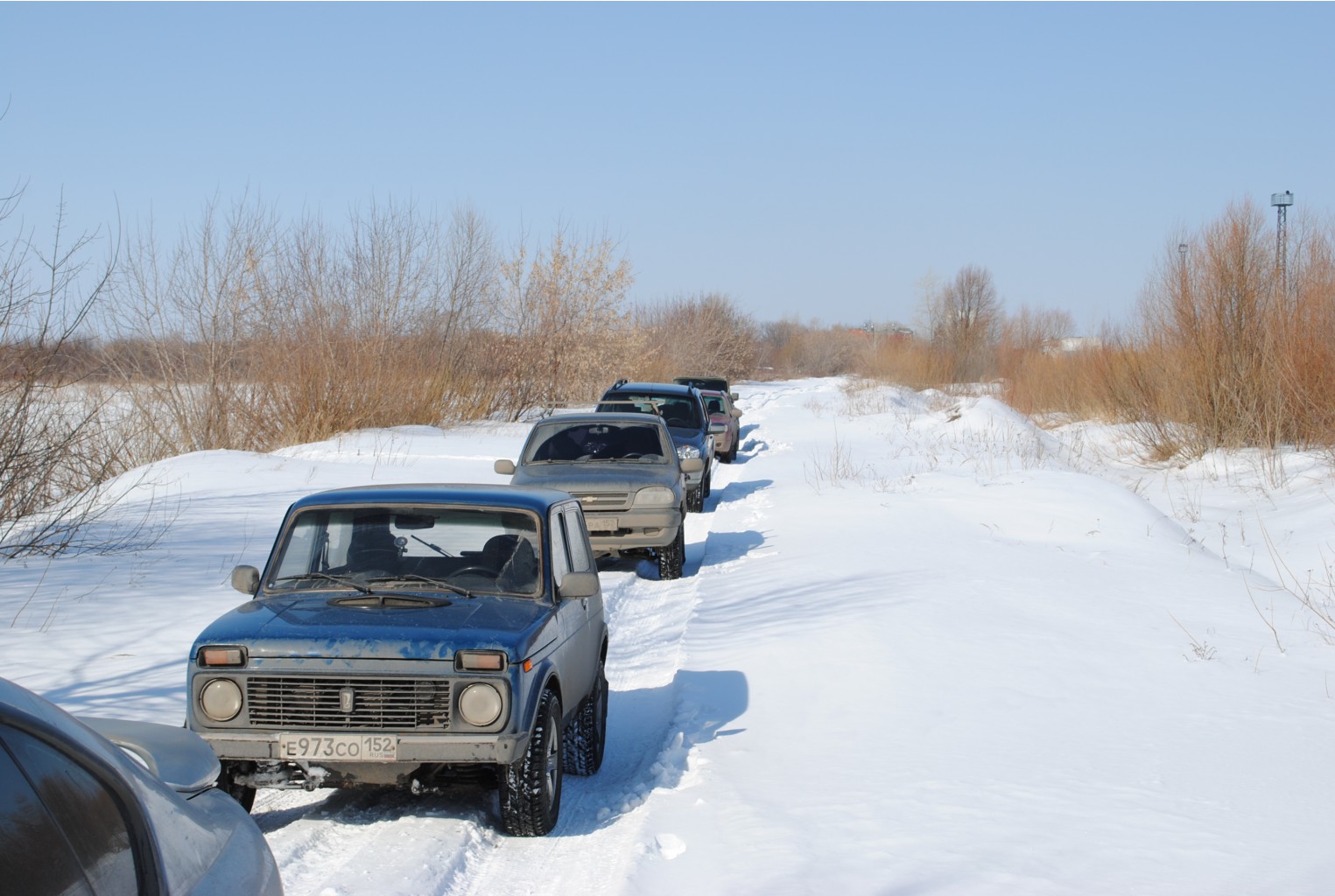 DSC_0194.jpg