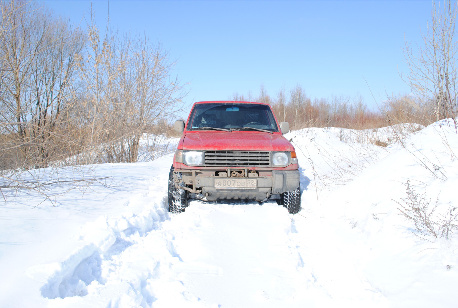 DSC_0196.jpg